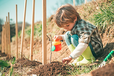 Bild på en liten pojke som vattnar en potatisplanta för framtiden.